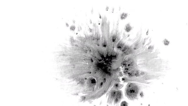 	
Ink drops rorschach fluid splash splatter spread texture creative abstract background mirror effect	
