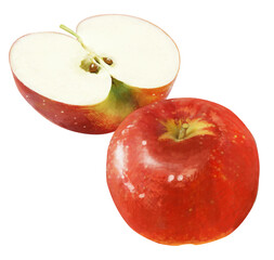 リアルなタッチのリンゴのイラスト