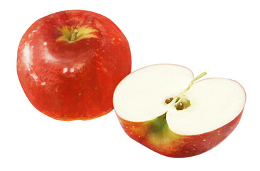 リアルなタッチのリンゴのイラスト