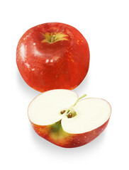 リアルなタッチのリンゴのイラスト