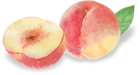 甘い香りがただよう桃のイラスト