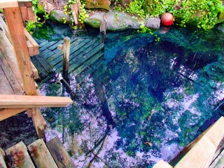 Clear blue spring waters surrounded by boardwalk and deck in lush forest, Paradise Springs, Florida