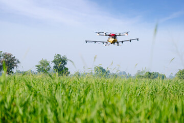 Using drones for agriculture use of technology for agriculture.