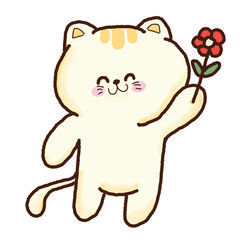 Cute cat