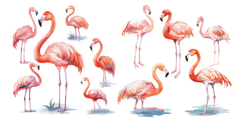 watercolor flamingo clipart for graphic resources - obrazy, fototapety, plakaty