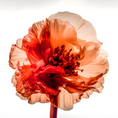 An orange flower, in the style of opacity and translucency, crimson and beige, sculpture-based photography, ink wash, bright and bold color palette, softbox lighting, uhd image, Generative AI