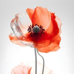 A plastic flower is red and white, light orange and gray, photo, romantic illustrations, realistic forms, backlit photography, nature-inspired imagery, Generative AI