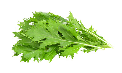 Mizuna lettuce isolated Japanese Mustard, vegetable salad for good health on transparent png