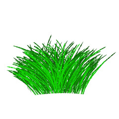 grass
