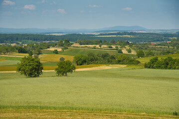 Landschaft am Bastberg bei Bouxwiller im Elsass