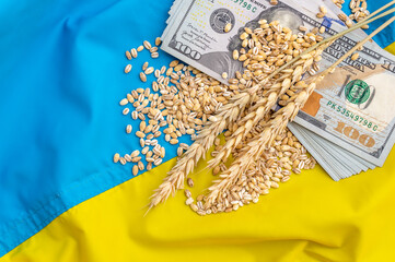 Wheat ears with wheat grains and money on Ukrainian flag.
