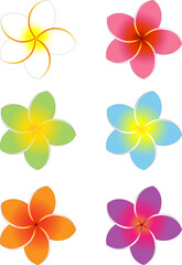 Colorful Frangipani Flowers Set 3. Isolated design elements objects with a 1-point border object which can be removed if desired.