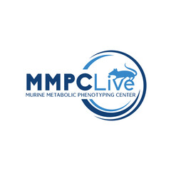 Fitness and medical logo, Unique healthcare, Modern medical, wellness, nutrition, health, yoga, Health People Logo, Vector, Creative Health Care Concept Logo Design Template,