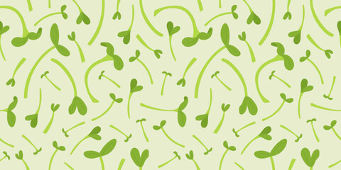 Fototapeta na wymiar Fresh microgreens pattern on a green background