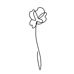 One Line Drawing Flower 
