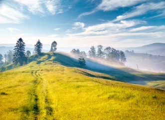 Fototapete Splendid summer landscape of a rolling countryside on a sunny day. © Leonid Tit