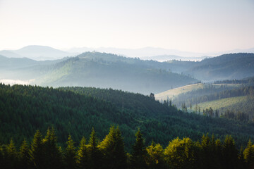 Fototapeta na wymiar A gorgeous view of forested slopes and distant mountain ranges. Carpathian mountains, Ukraine.