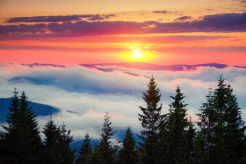 Naklejka na ściany i meble Top view of dense fog in alpine valley in rays of morning light.