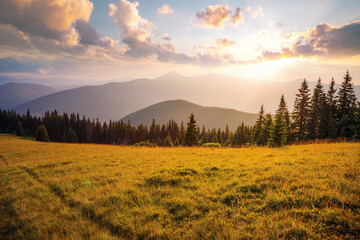 Naklejka premium Majestic view of the mountain ranges illuminated by the sun's rays. Carpathian mountains, Ukraine.