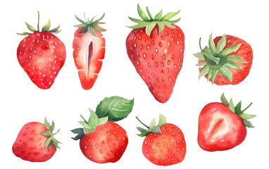 set vector illustration of ripe strawberry isolated on white background