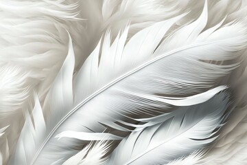 White Bird feather pattern for background and texture. White Feather texture background. generative AI.