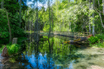 Beautiful turquoise natural spring water in Ingbo natural park in north of Sweden.