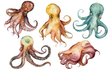 watercolor set vector illustration of octopus isolsated on white background