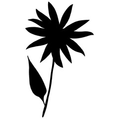 Hand Drawn Flower Silhouette. Black Floral Illustration. Plant Silhouette Isolated on White Background.
