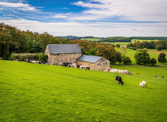 landscape with house