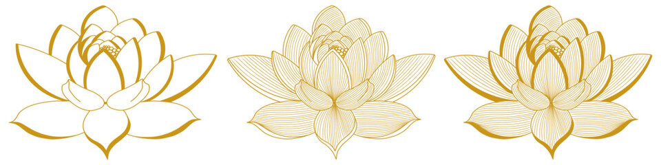 incredible magnolias in golden color, set, vector illustration, flower © Tetiana Komarytska