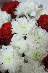 Red&White flowers