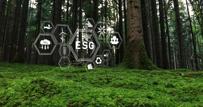 Magic mossy forest landscape with ESG icons animation. Slow motion. Slider used. 