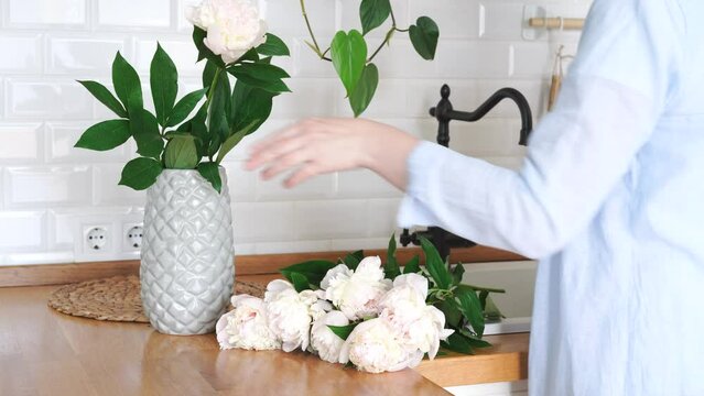 Woman cutting stems of peony flower and putting flower to the vase, view on white modern kitchen. High quality 4k footage