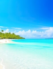 Fototapeta premium tropical beach