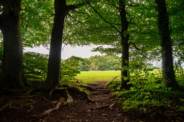 Ashton Court Estate, Bristol, UK