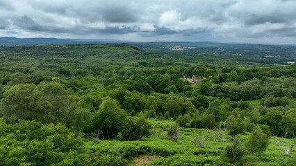 Fototapeta na wymiar Aerial view of lush green woodland countryside