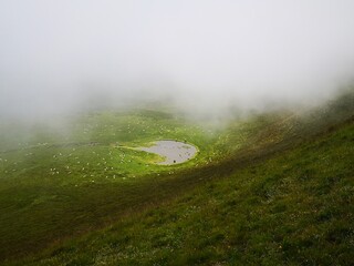 les mystères de la nature