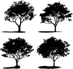 Set Trees