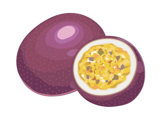 パッションフルーツのイラスト