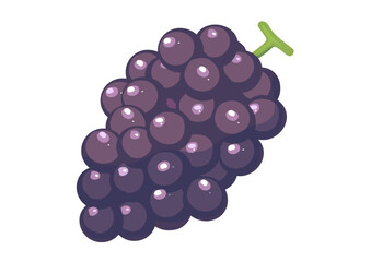 ブドウのイラスト