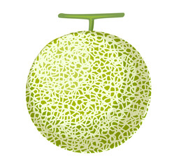 メロンのイラスト