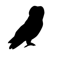 Owl Silhouette Vector