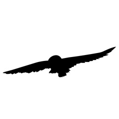 Owl Silhouette Vector