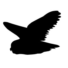 Owl Silhouette Vector