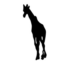 Vector Long Neck Giraffe Silhouette