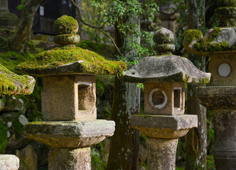 Stone lanterns at the ancient forest