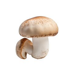  mushrooms isolated on white background generative ai, clipping path, png file