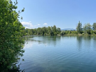 Summer atmosphere in the Old Rhine Nature Park, Lustenau (Austria) - Vorfrühlings Stimmung im Naturpark Alter Rhein oder Naturpark am Alten Rhein, Lustenau - Österreich (Osterreich or Oesterreich)