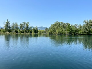 Summer atmosphere in the Old Rhine Nature Park, Lustenau (Austria) - Vorfrühlings Stimmung im Naturpark Alter Rhein oder Naturpark am Alten Rhein, Lustenau - Österreich (Osterreich or Oesterreich)