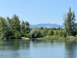 Summer atmosphere in the Old Rhine Nature Park, Lustenau (Austria) - Vorfrühlings Stimmung im Naturpark Alter Rhein oder Naturpark am Alten Rhein, Lustenau - Österreich (Osterreich or Oesterreich)
